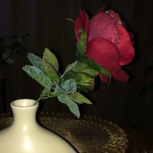 Meet your Posher, Marsha